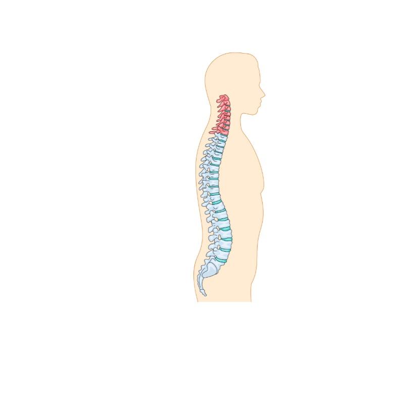 Why Stress Makes Back and Neck Pain Worse | Massage
