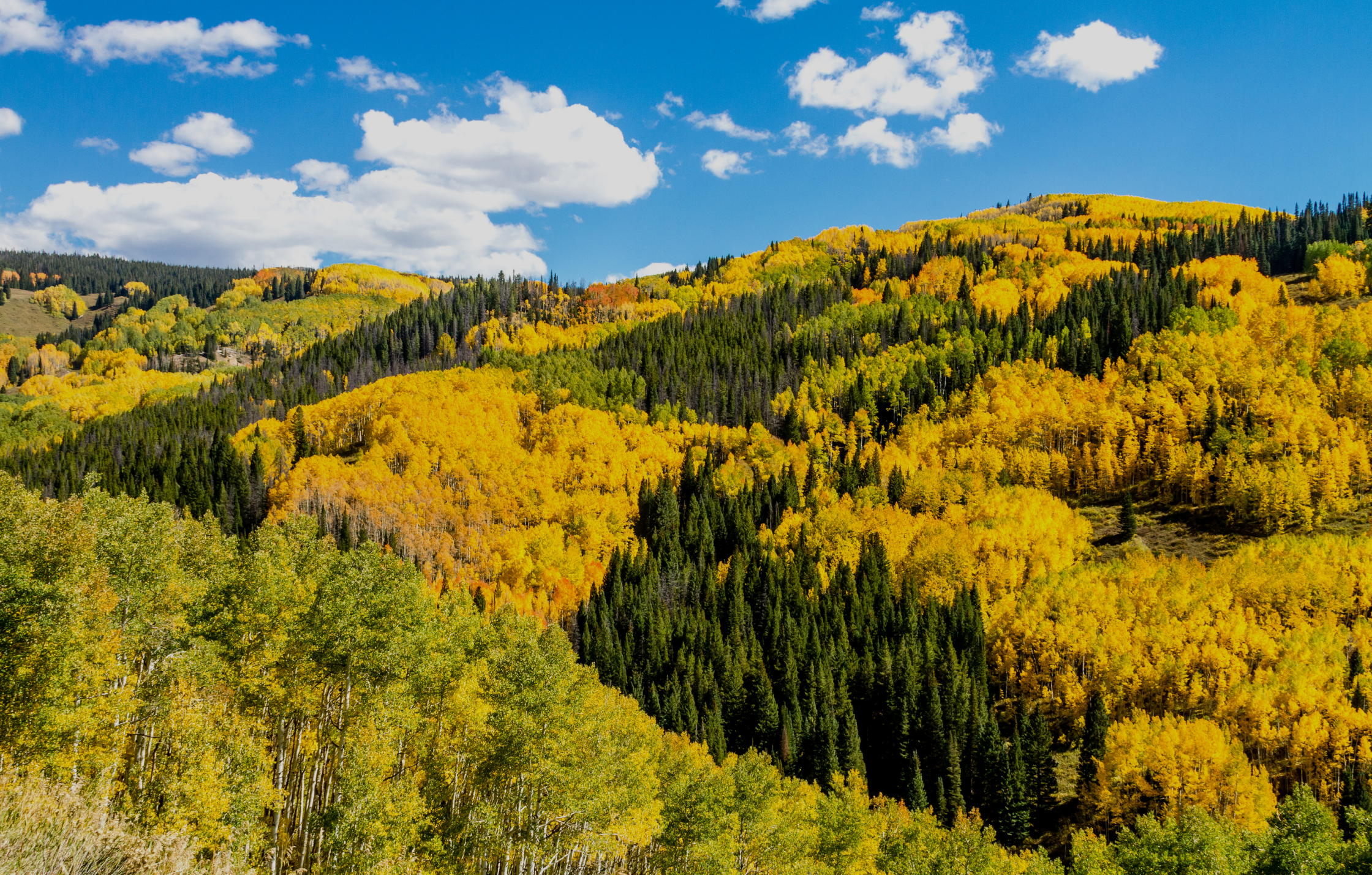 Fall Massage Colorado Springs | September Pain Relief